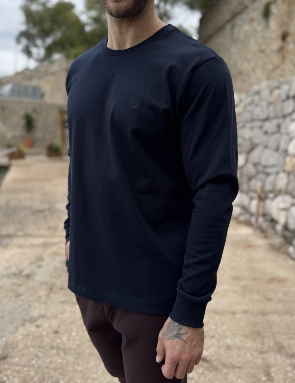 Ανδρική βαμβακερή μακρυμάνικη μπλούζα.