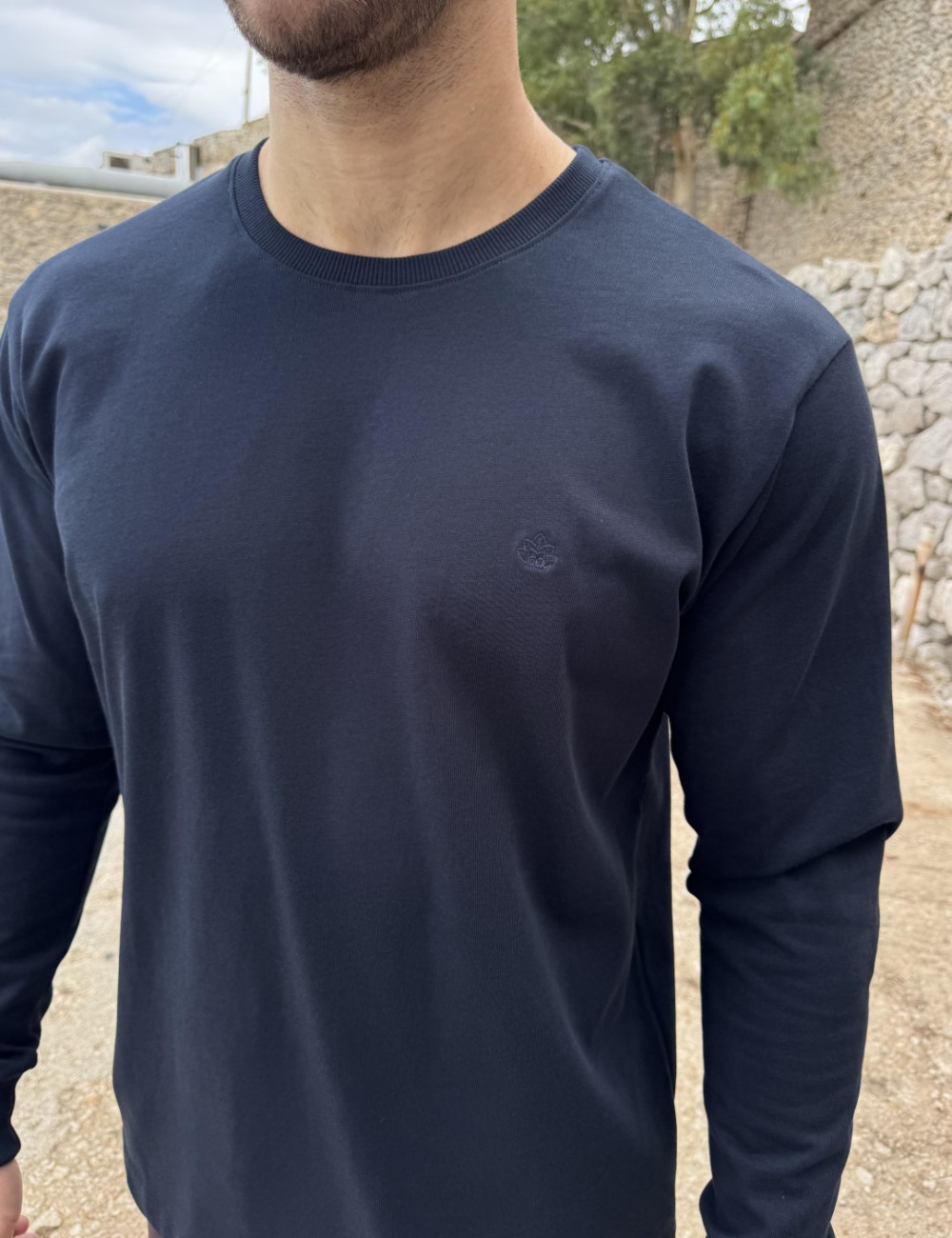 Ανδρική βαμβακερή μακρυμάνικη μπλούζα.