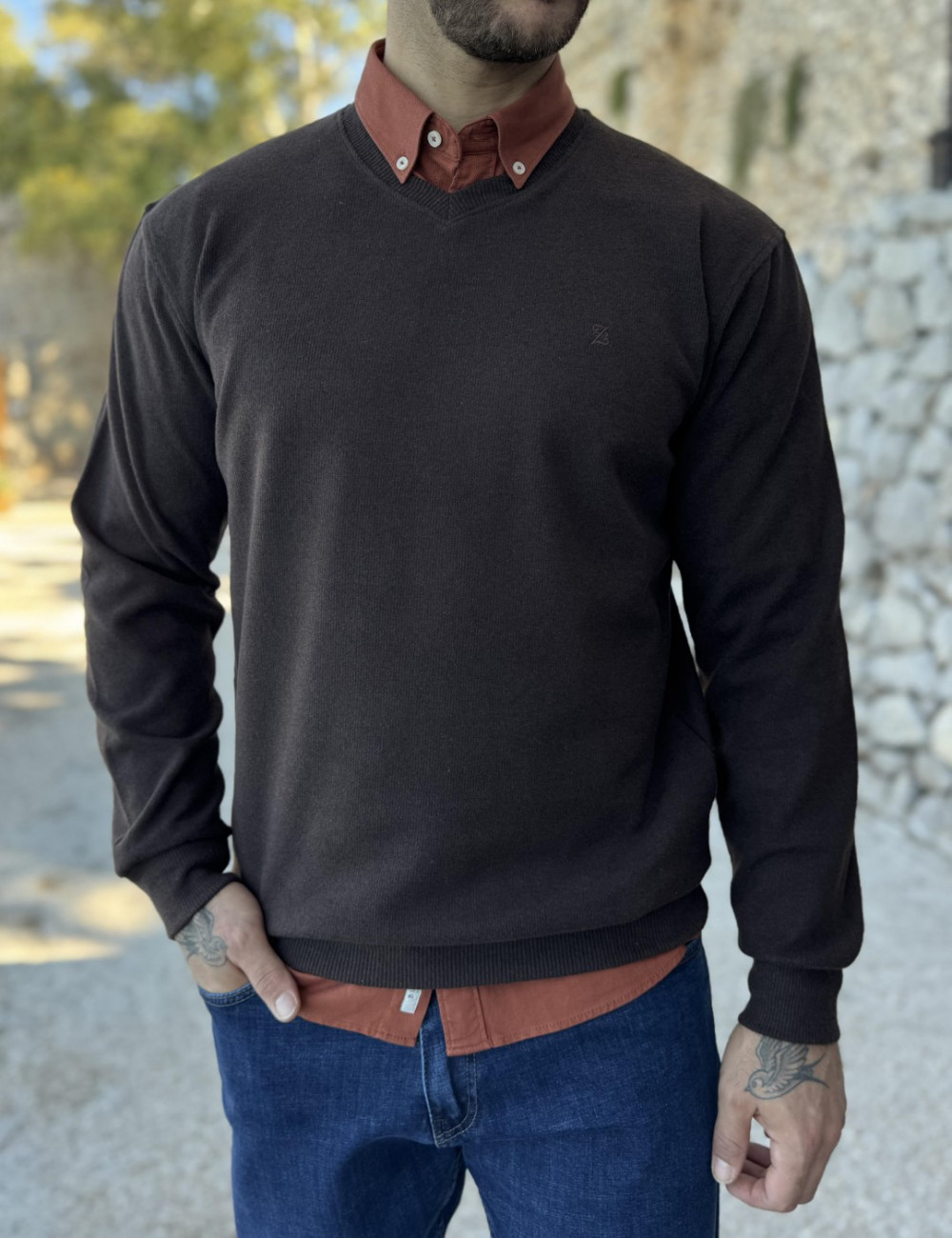 Ανδρική μακρυμάνικη μπλούζα .