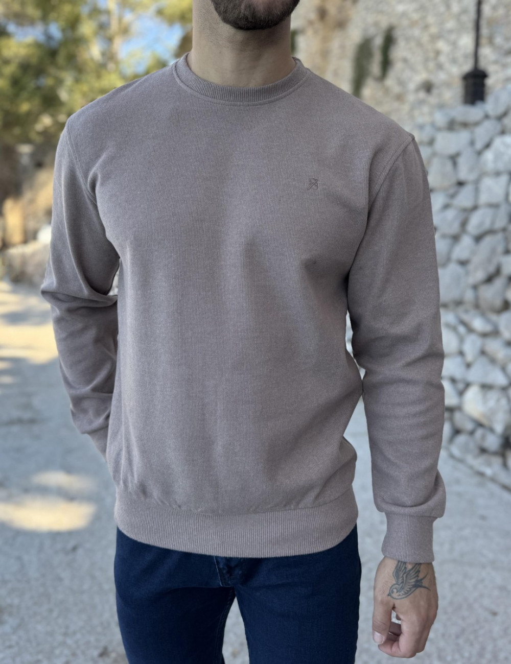 Ανδρική μακρυμάνικη μπλούζα .
