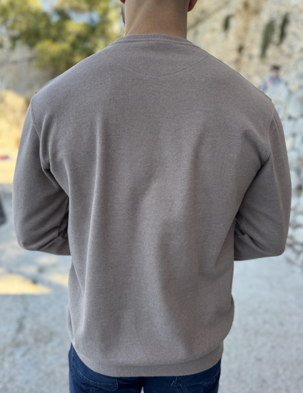 Ανδρική μακρυμάνικη μπλούζα .