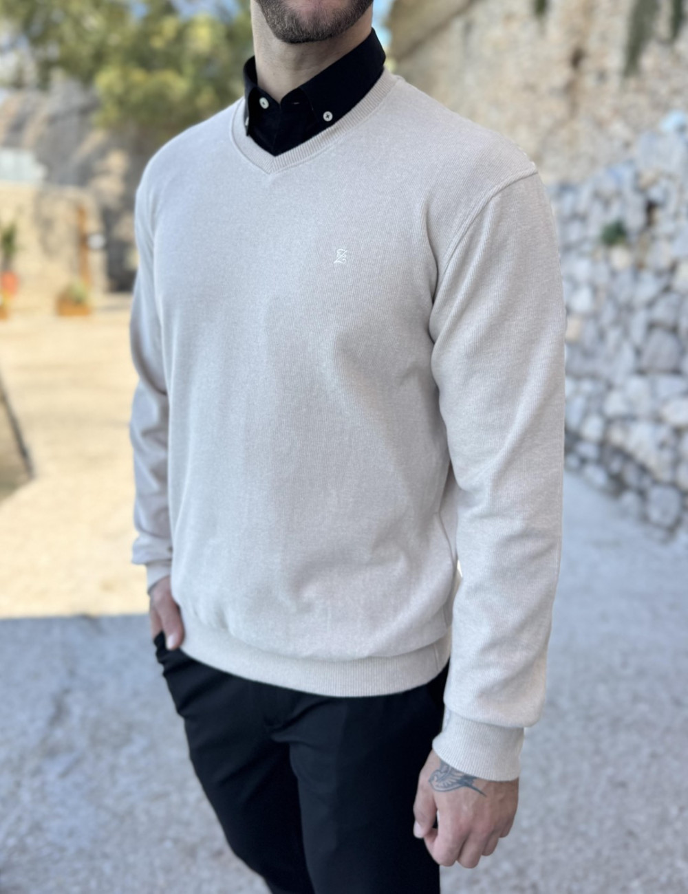 Ανδρική μακρυμάνικη μπλούζα .
