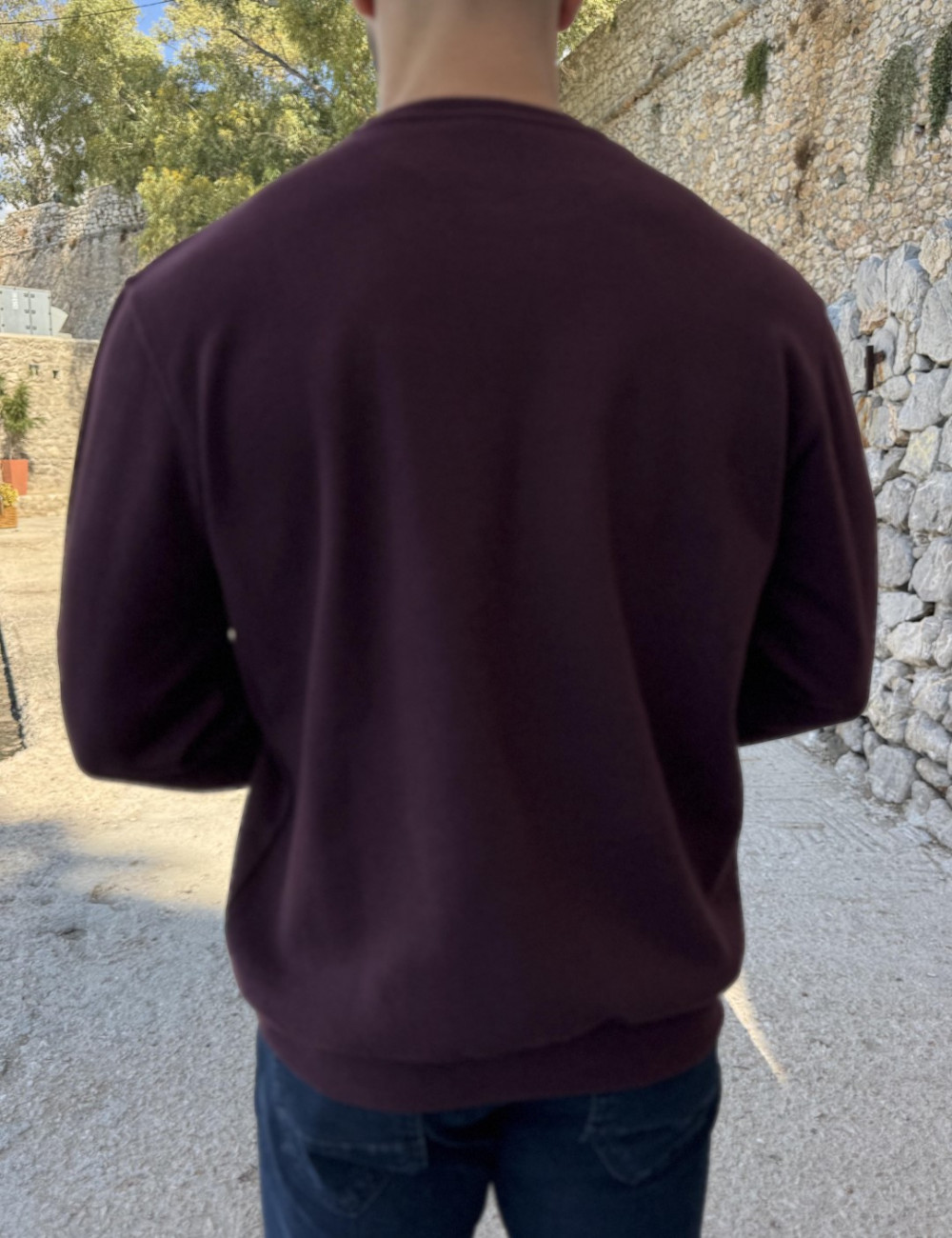 Ανδρική μακρυμάνικη μπλούζα .